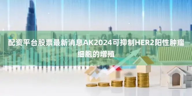 配资平台股票最新消息AK2024可抑制HER2阳性肿瘤细胞的增殖