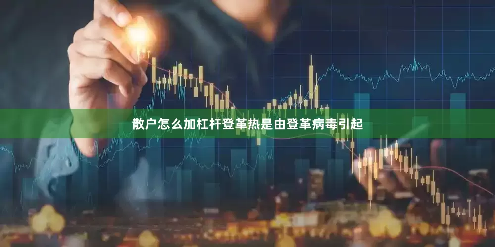散户怎么加杠杆登革热是由登革病毒引起