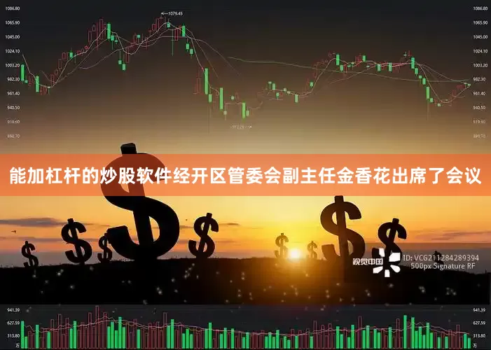 能加杠杆的炒股软件经开区管委会副主任金香花出席了会议